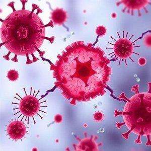 Enfeksiyon Hastalıkları