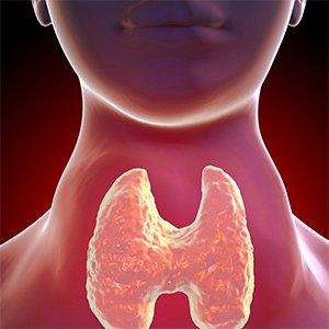 Tiroid Hastalıkları (Guatr) Tedavisi